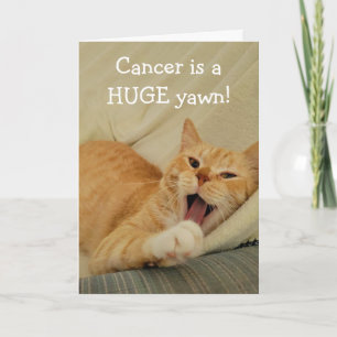 Förbränd med cancerfunn katt kort