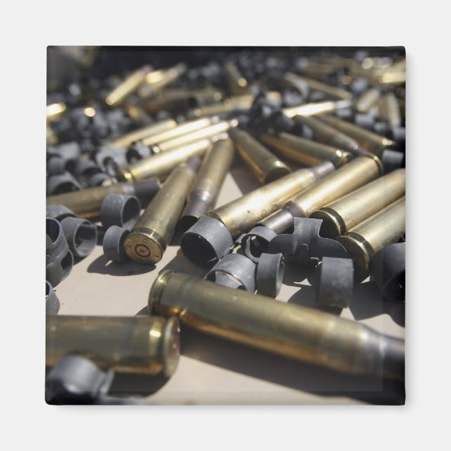 Förbrukade penslar och ointegrerade länkar magnet (Framsidan)