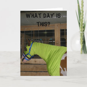 FÖRBRYT HORSE BIRTHDAY CARD KORT