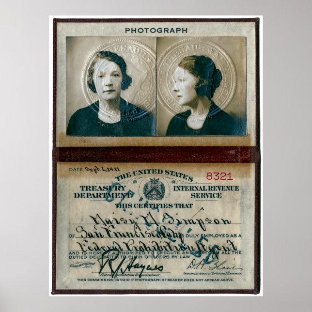 Förbud mot Agent Simpson AKA Dam Hooch Hunter Poster (Framsidan)