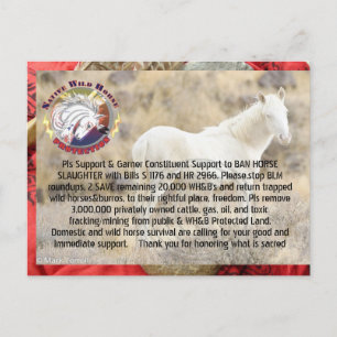 Förbud mot slakt och Spara Vild Horses/ Burros Vykort