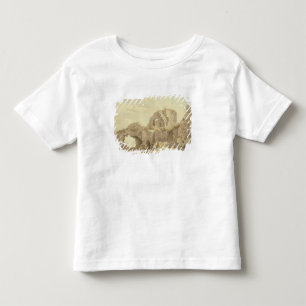 Fördärvar av det Pevensey slottet (w/c på pappe T Shirt