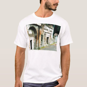 Fördärvar av Pompeii - marknadsplats med tempel Tröja