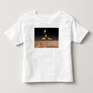 Fördärvar ReconnaissanceOrbiter 4 Tee Shirt