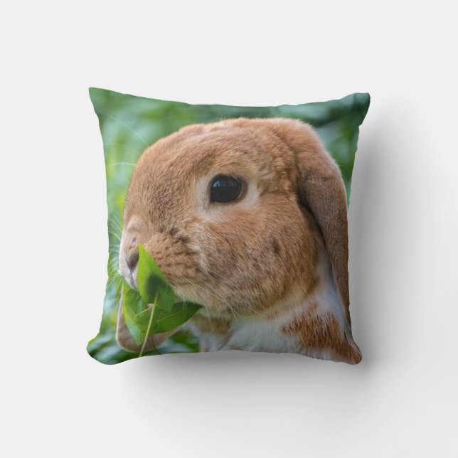Fördärvliga Mini Lop Bunny Kudde (Framsida)