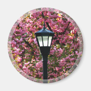 Fördelar med Blommar av körsbär och lampmagnet Magnet