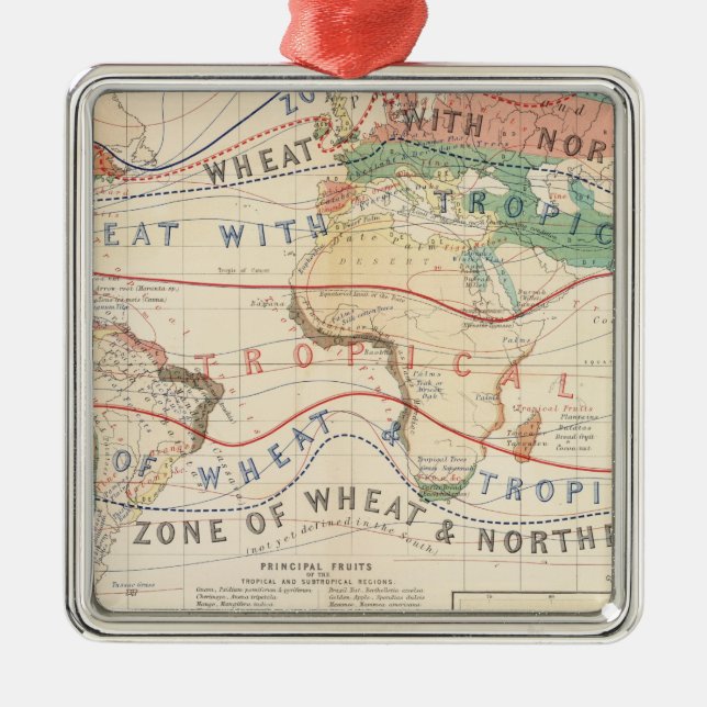 Fördelningsväxter Julgransprydnad Metall (Framsidan)