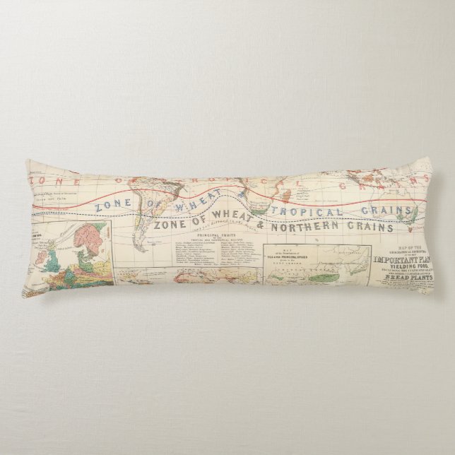 Fördelningsväxter Kroppskudde (Framsidan)