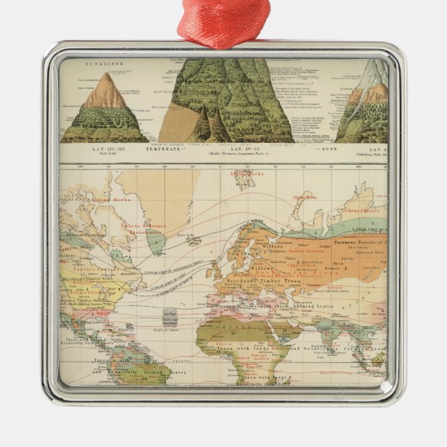 Fördelningsvegetation Julgransprydnad Metall (Framsidan)