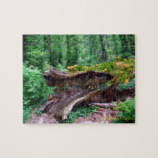 Fördjupningen loggar med huspussel pussel