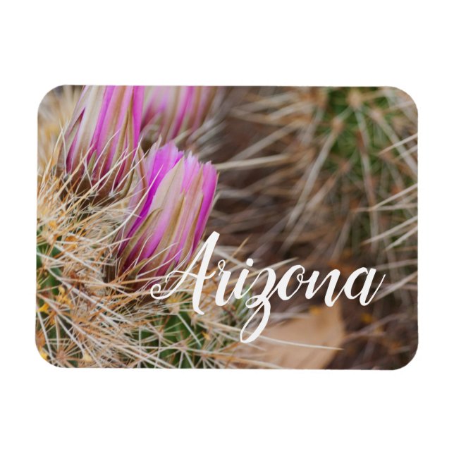 Före blomningen, Arizona Magnet (Horisontell)