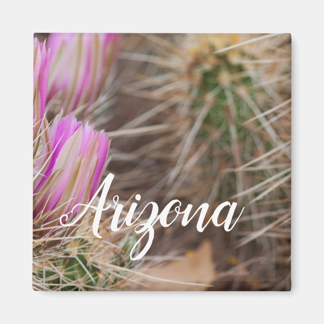 Före blomningen, Arizona Magnet (Framsidan)