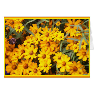 Före dettablomsterutställning hälsningskort