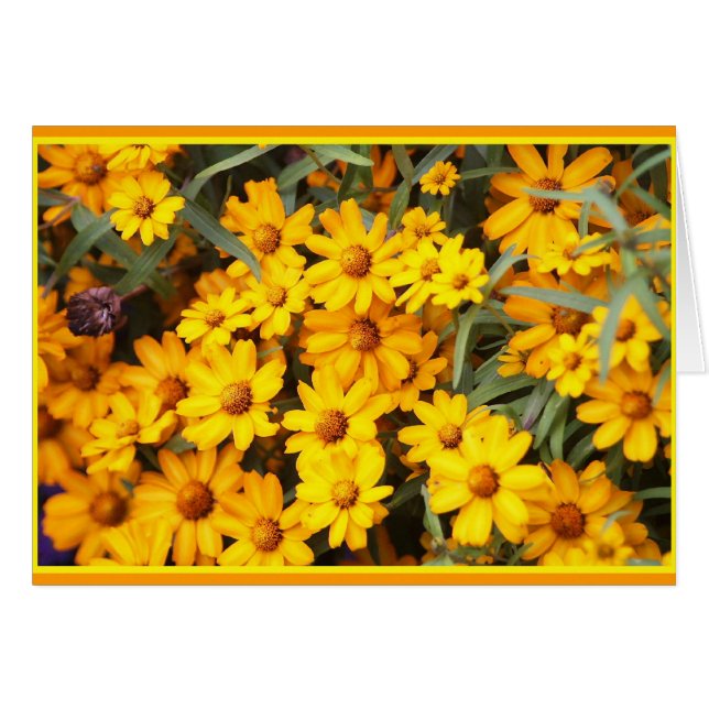 Före dettablomsterutställning hälsningskort (Framsidan Horizontal)