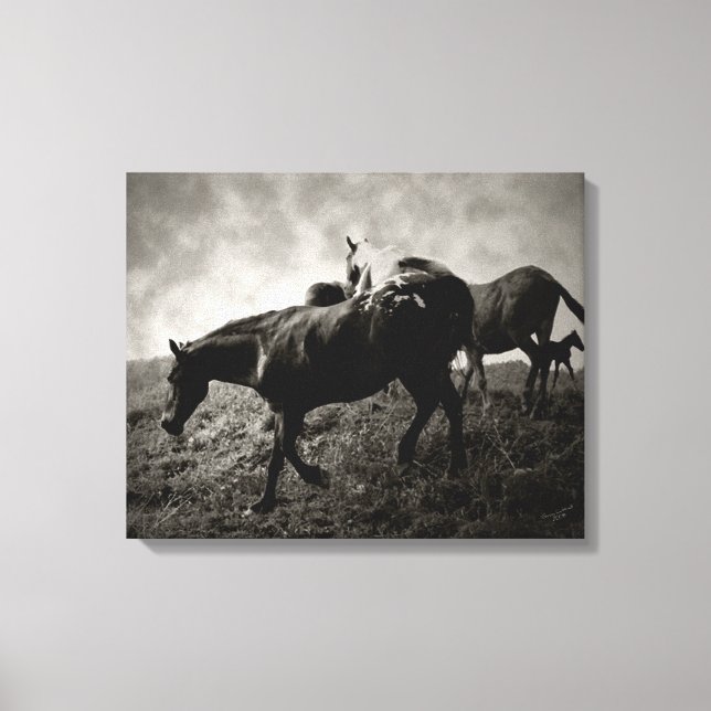 Före Storm Wrapped Canvas (Framsida)