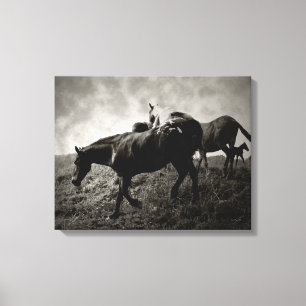 Före Storm Wrapped Canvas