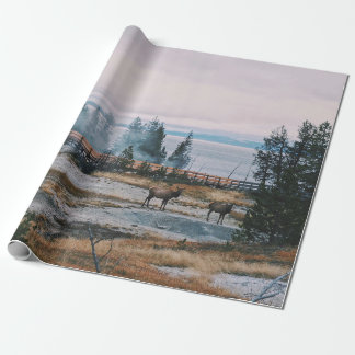 FÖRE SUNSET I YELLOWSTONE NATIONAL PARK PRESENTPAPPER