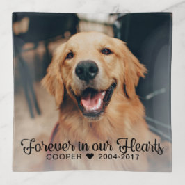 Föregående i Hearts Pet Memorial Photo