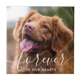 Föregående i Hearts Pet Memorial Photo Kakelplatta