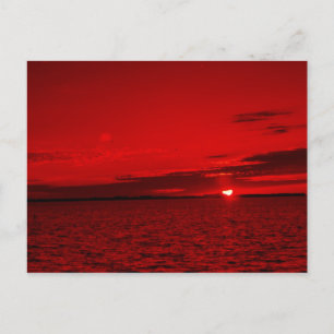 Föregående Scarlet Vykort