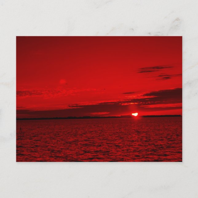 Föregående Scarlet Vykort (Framsida)