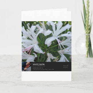 Föregående tid kort