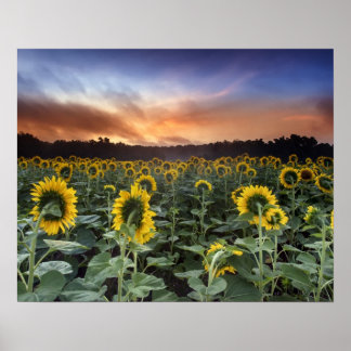 föregripande poster