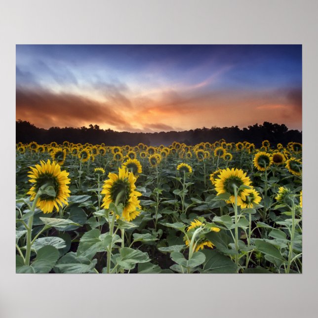 föregripande poster (Framsidan)