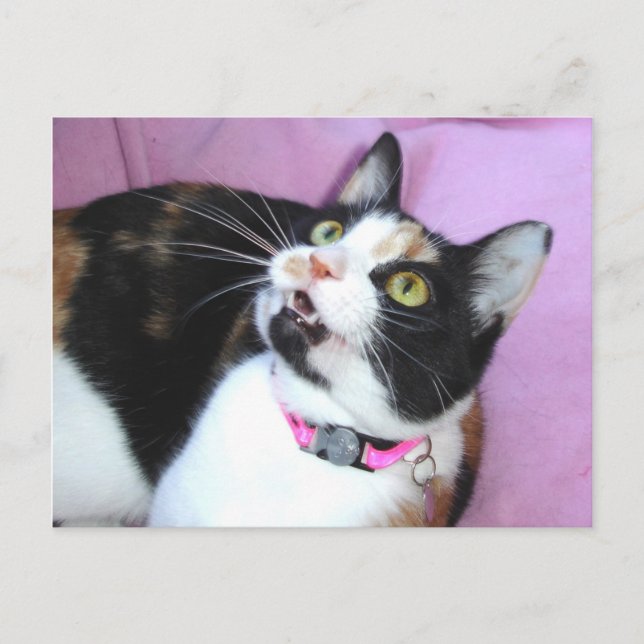 föregripande vykort (Framsida)