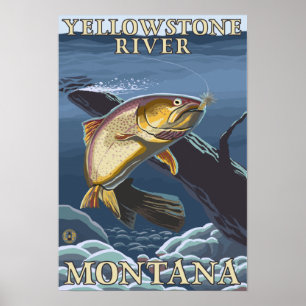 Forell som fiskar tvärsnitt 3 poster