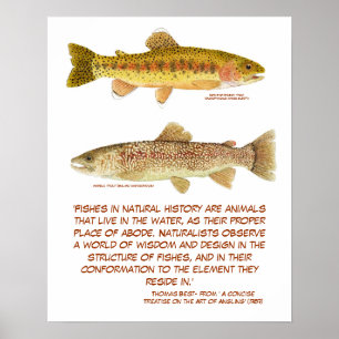 Forellaffisch Poster
