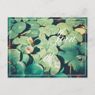 Förena Er Gröna blad Näckros Blomma vykort