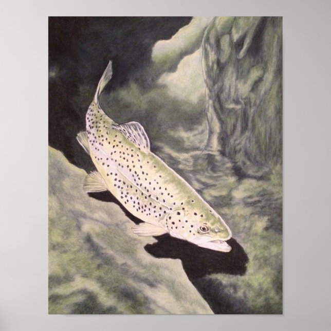 Förenad Öring Poster (Framsidan)