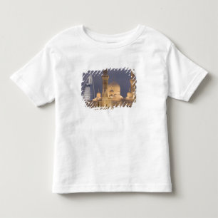 Förenade Arabemiraten, Dubai. Moské på kvällen med Tee Shirt