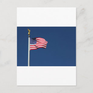 FÖRENADE STATER FLAGGA VYKORT