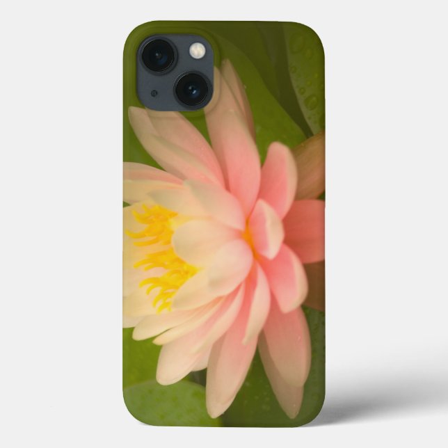 Förenade Stater, Maryland, Westminster, Union (Baksida)