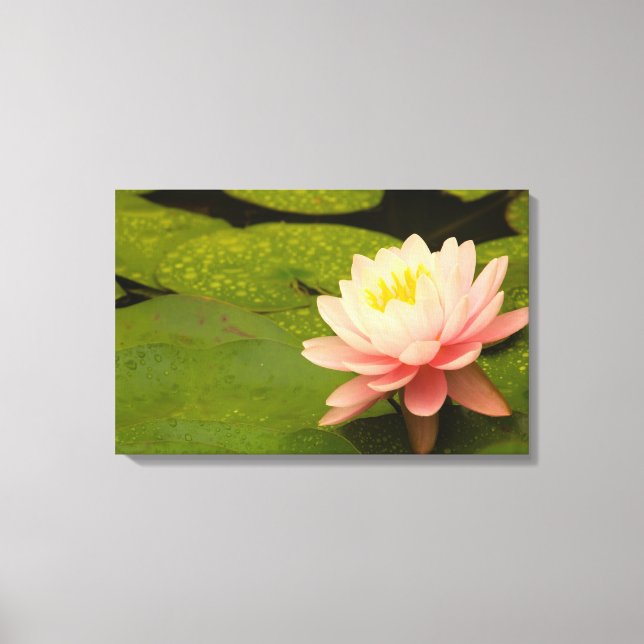 Förenade Stater, Maryland, Westminster, Union Canvastryck (Framsida)