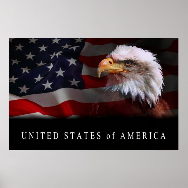 FÖRENADE STATER PATRIOTISM-SYMBOLER POSTER (Framsidan)
