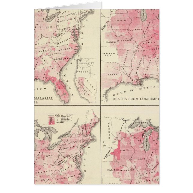 Förenade Stater vitalitet kartor Hälsningskort (Framsidan)