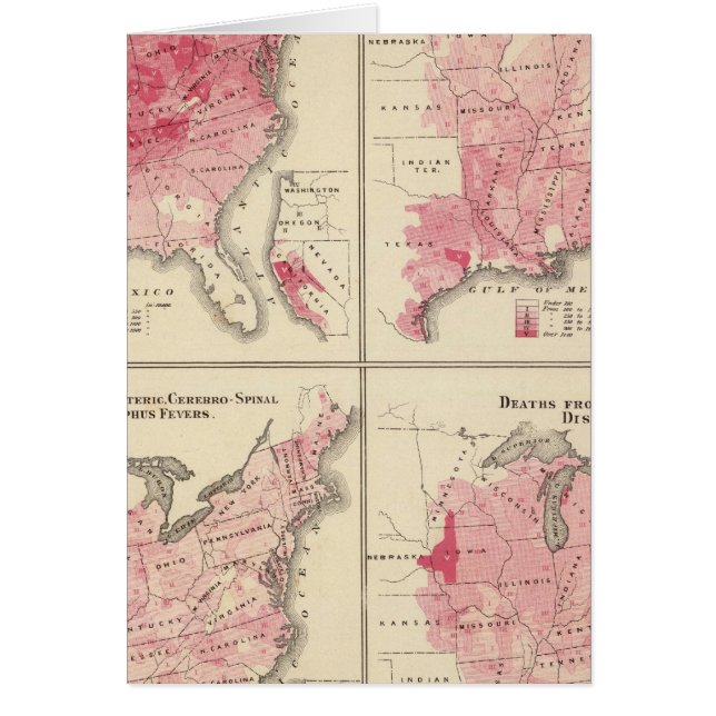 Förenade Stater vitalitet kartor Hälsningskort (Framsidan)