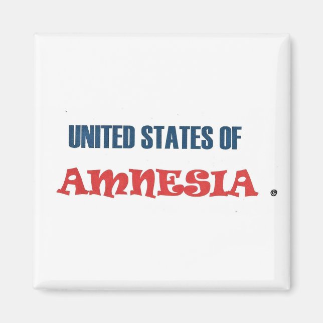 FÖRENADE STATERNA AMNESIEN MAGNET (Framsidan)