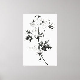 Förenklade Cilantro Löv Line Teckning Canvastryck