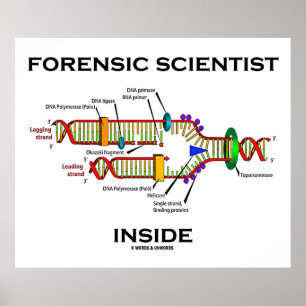 Forensisk forskare inom landet (DNA-replikering) Poster