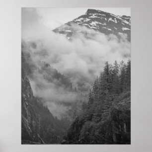 Förenta staterna, Alaska, Juneau, Rainforest täcke Poster