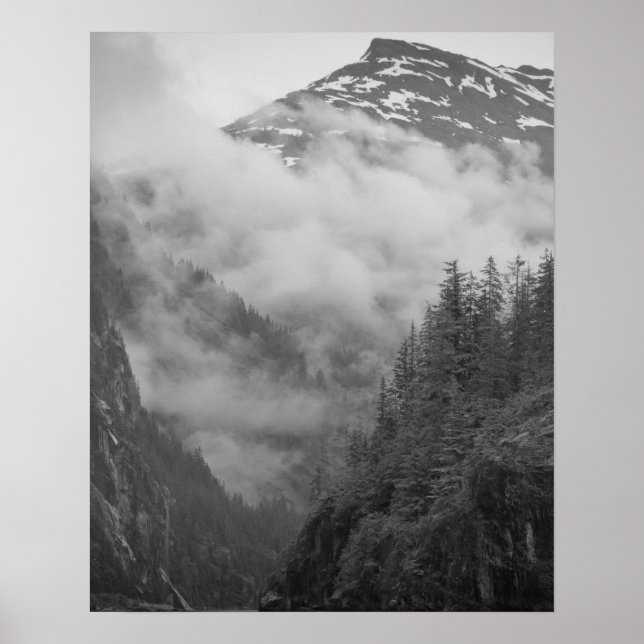 Förenta staterna, Alaska, Juneau, Rainforest täcke Poster (Framsidan)