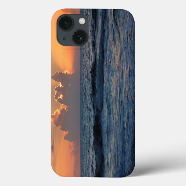 Förenta staterna, Georgien, ön Tybee, Beach av ön  (Baksida)