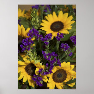 Förenta staterna, närhet av möhippa blomma arra poster