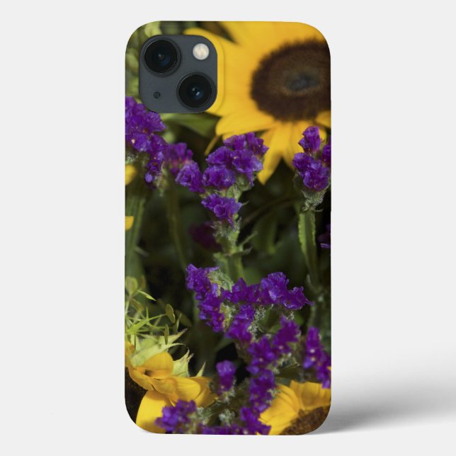Förenta staterna, närhet av möhippa blomma arrange (Baksida)
