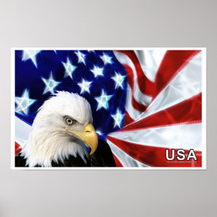 Förenta staterna Örn Flagga Poster