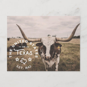 Förenta Staterna Texas Postcard Vykort